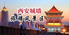 黄动漫爆乳嫩穴中国陕西-西安城墙旅游风景区